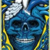 STRANGELOVE 8.5 TEAM CODE BLUE DECK -SkatePro World 10SLO0007 51666.1683921884
