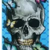 DGK 8.25" SHANAHAN DEAD POET DECK -SkatePro World 10dgkdeadpoet 51610.1690516205
